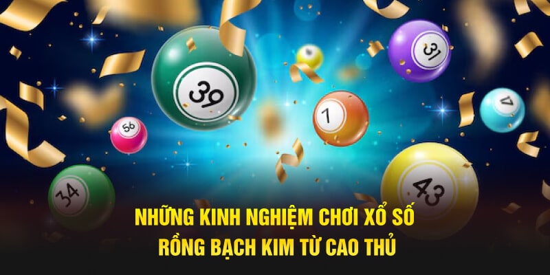 Những kinh nghiệm chơi Xổ Số Rồng Bạch Kim từ cao thủ